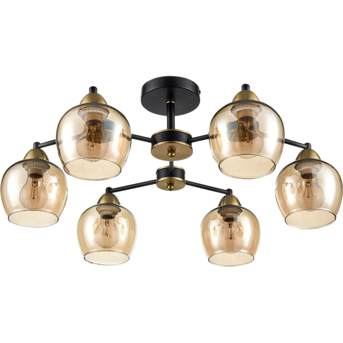Потолочная люстра LUMION LANDA 8249/6C