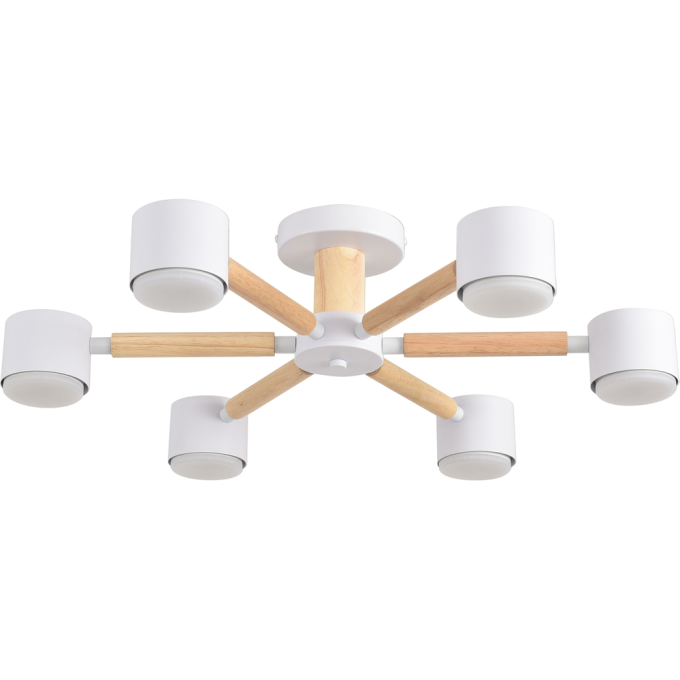 Светильник потолочный LUMION COMFI VUDI 8306/6C